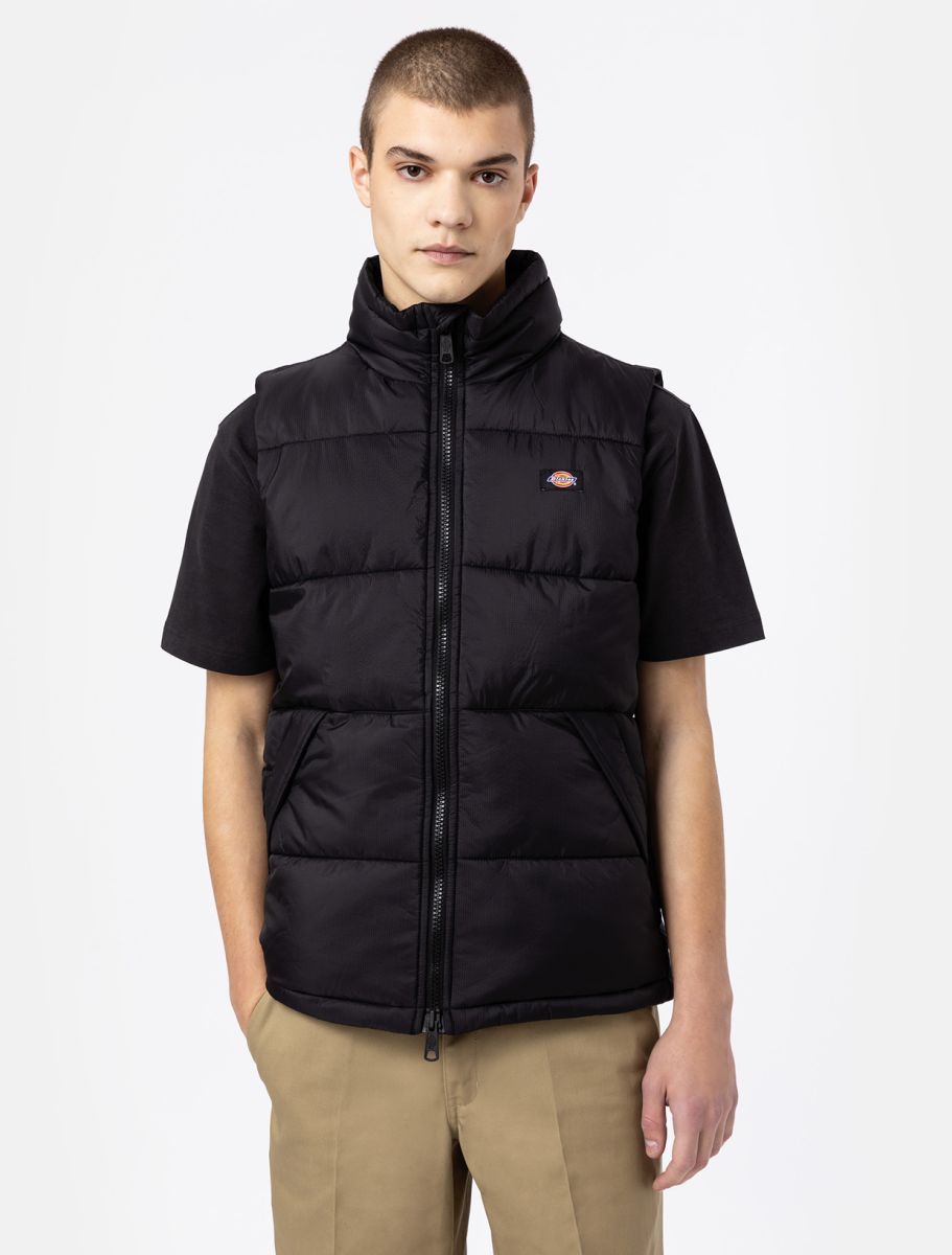 Dickies Jackets And Jackets Man  Waldenburg Vest - Dk0a4y2k Black In Black