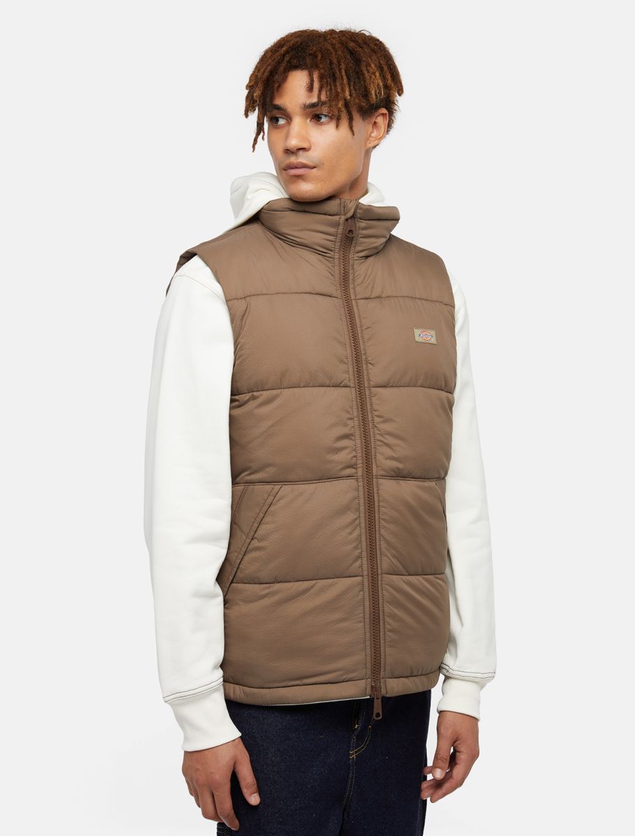 Dickies Jackets And Jackets Man  Waldenburg Vest - Dk0a4y2k Mr1 Mushroom In Brown