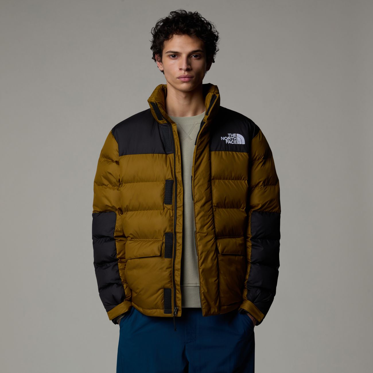 The North Face Jackets And Jackets Man  Nf0a89eg - Limbara 1ob1 Moss Green In Green