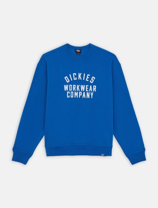 Dickies Female  Graphic Hoodie 3 - Dk0a85st J531 Turkish Sea In Blue