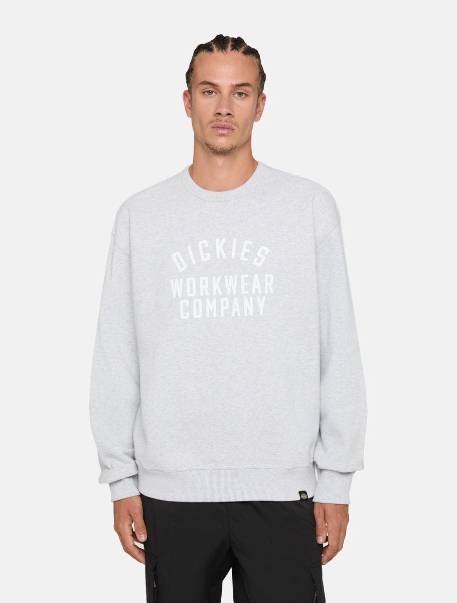 Dickies Female  Graphic Hoodie 3 - Dk0a85st Lhg1 Heather Gray In Gray
