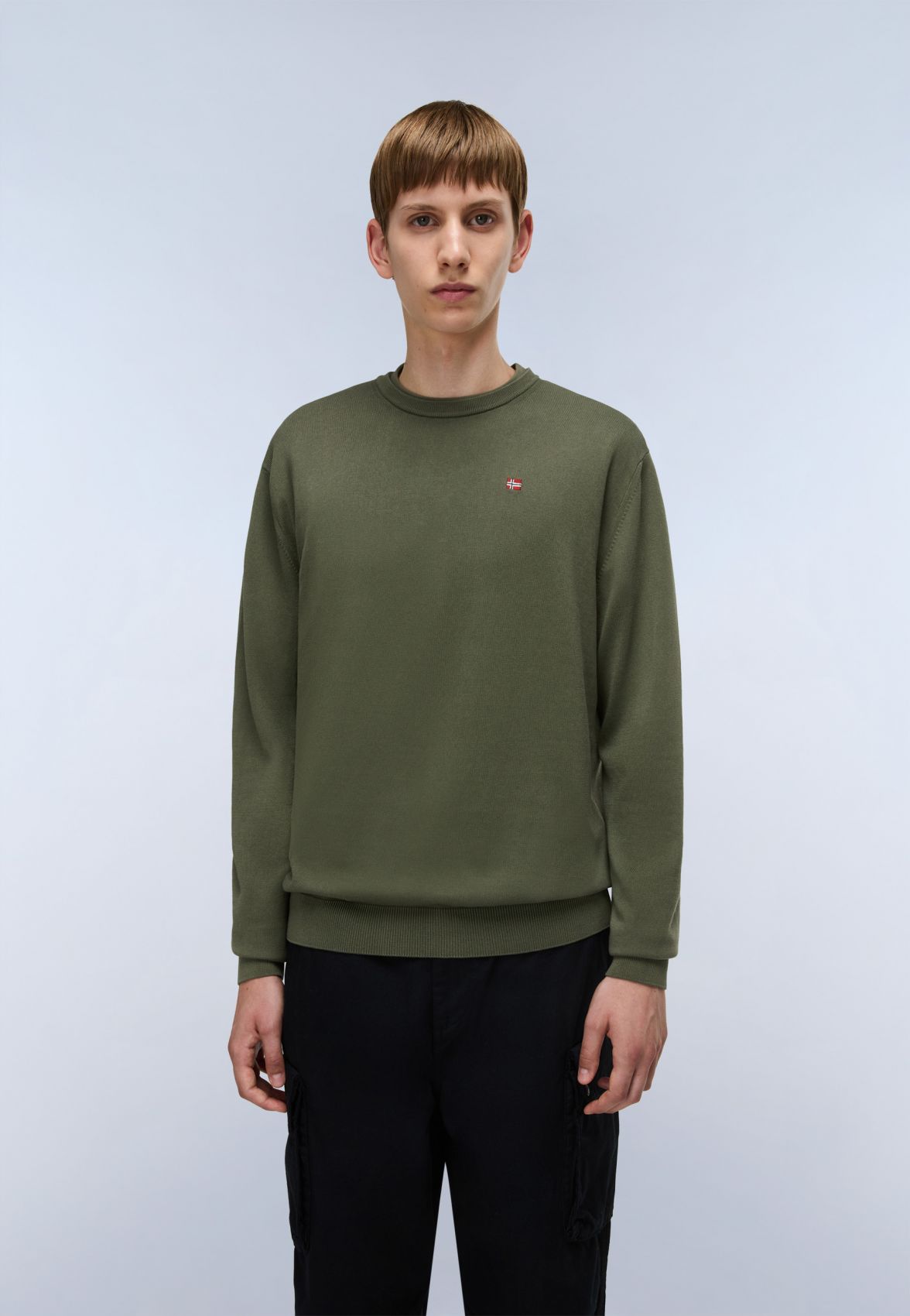 Napapijri Shirts Man Droz 5 - Np0a4i2g G0a1 Tea Leaf In Green
