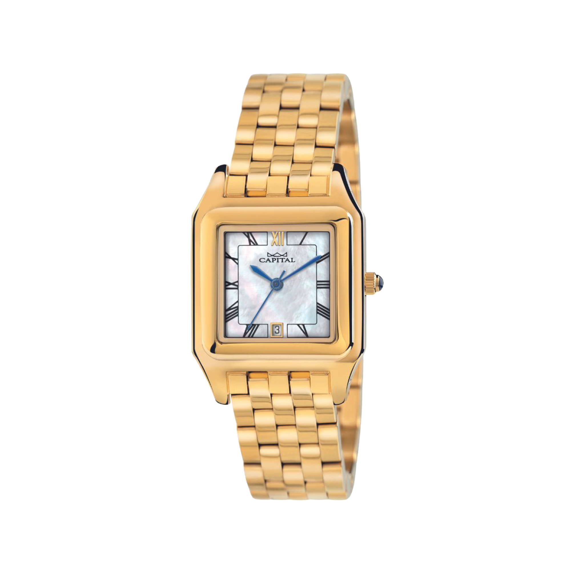 Donna watch Capital ax49-zi mm