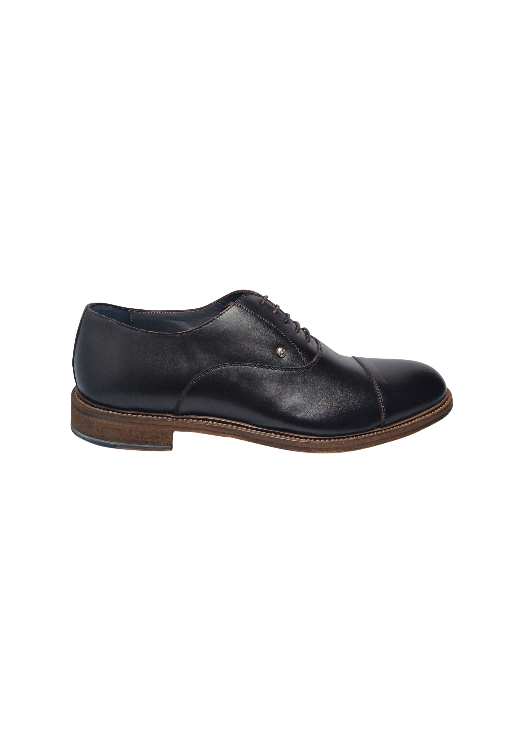 pb10202C9esof301 Pollini Mann braunes Leder