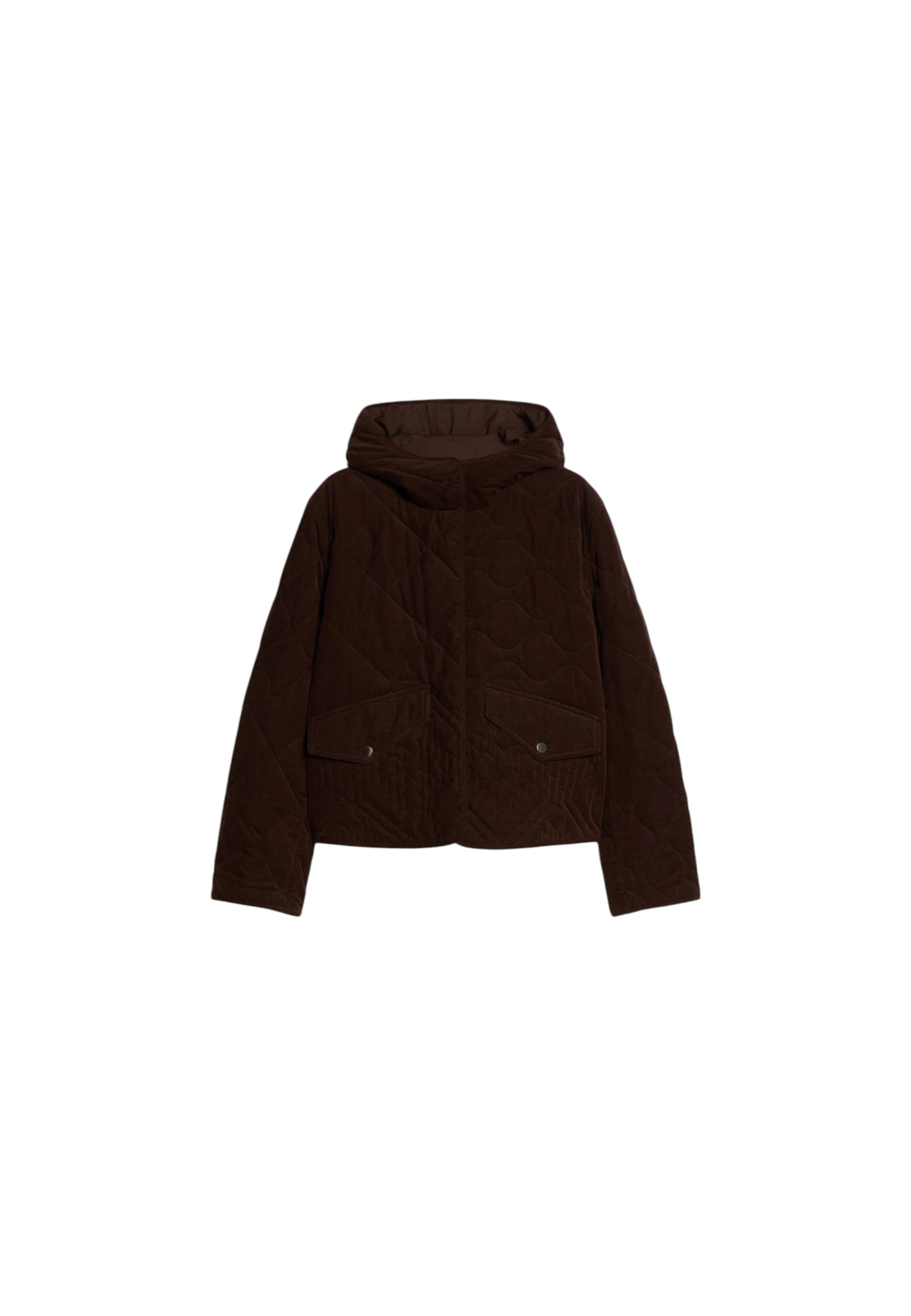 Pennyblack Women's Jacket  Pbbafona In Brown