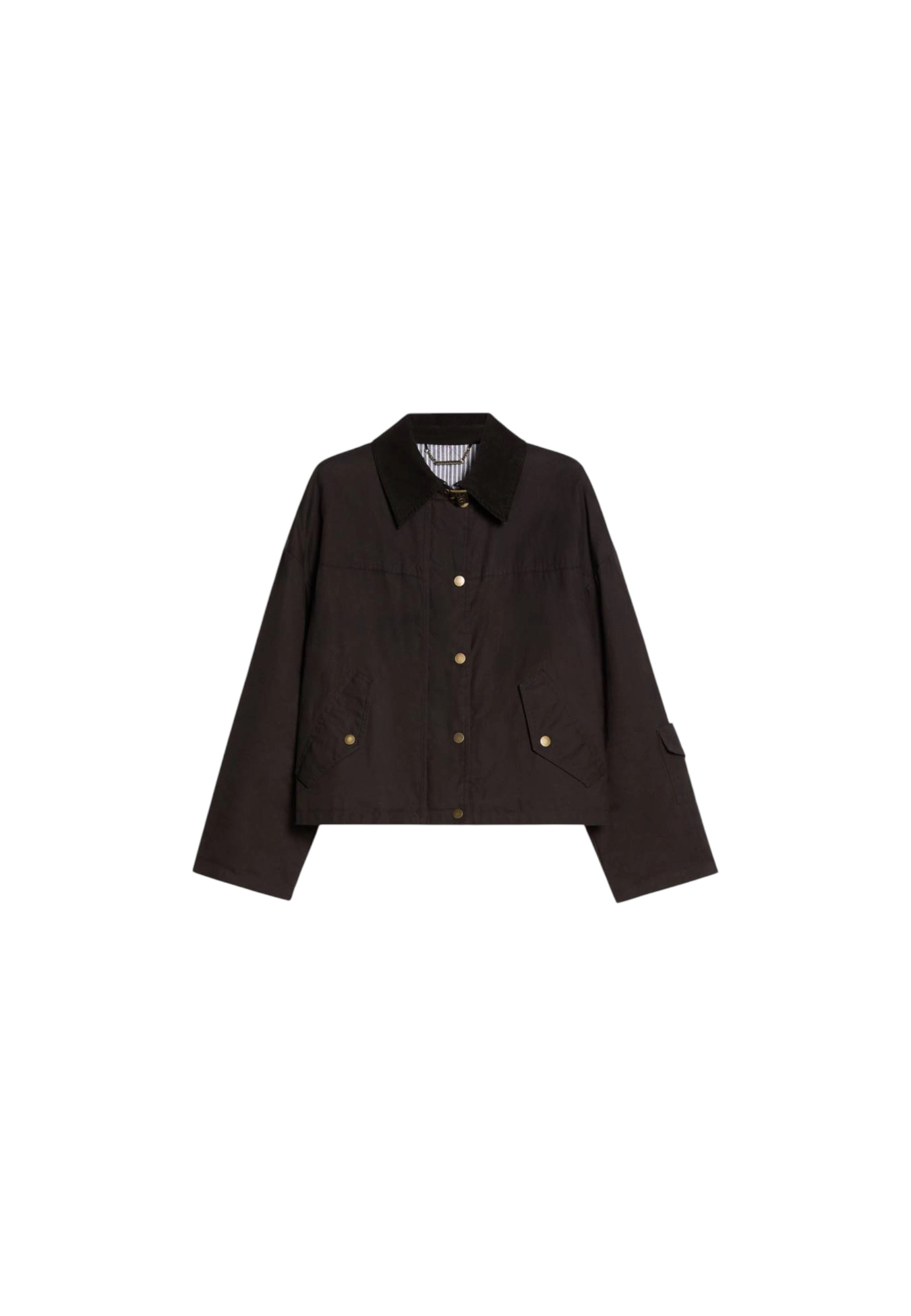 Pennyblack Women's Jacket  Pbbfato In Brown