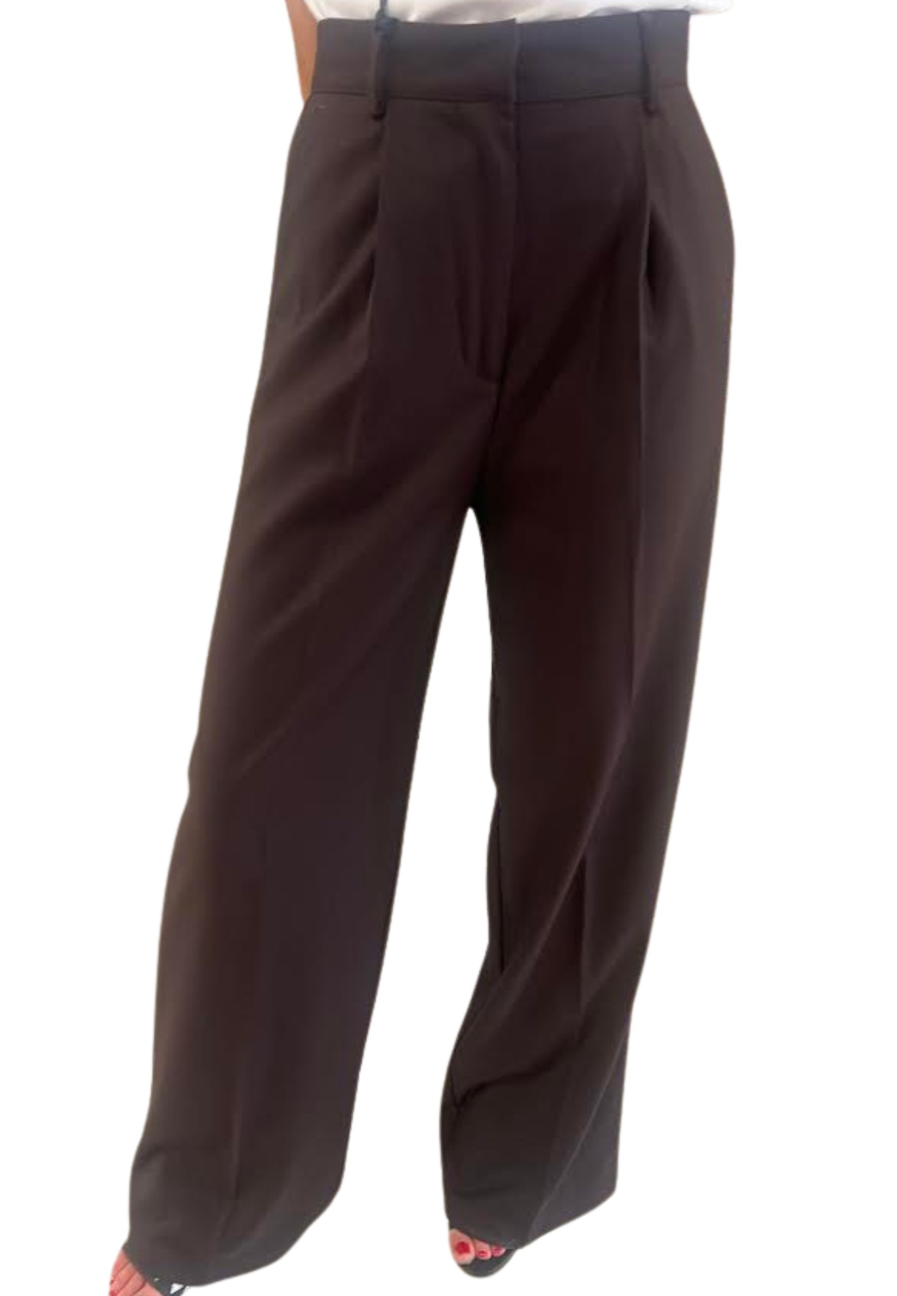 Marsēm Women's Trousers Marsem With Pinces In Brown