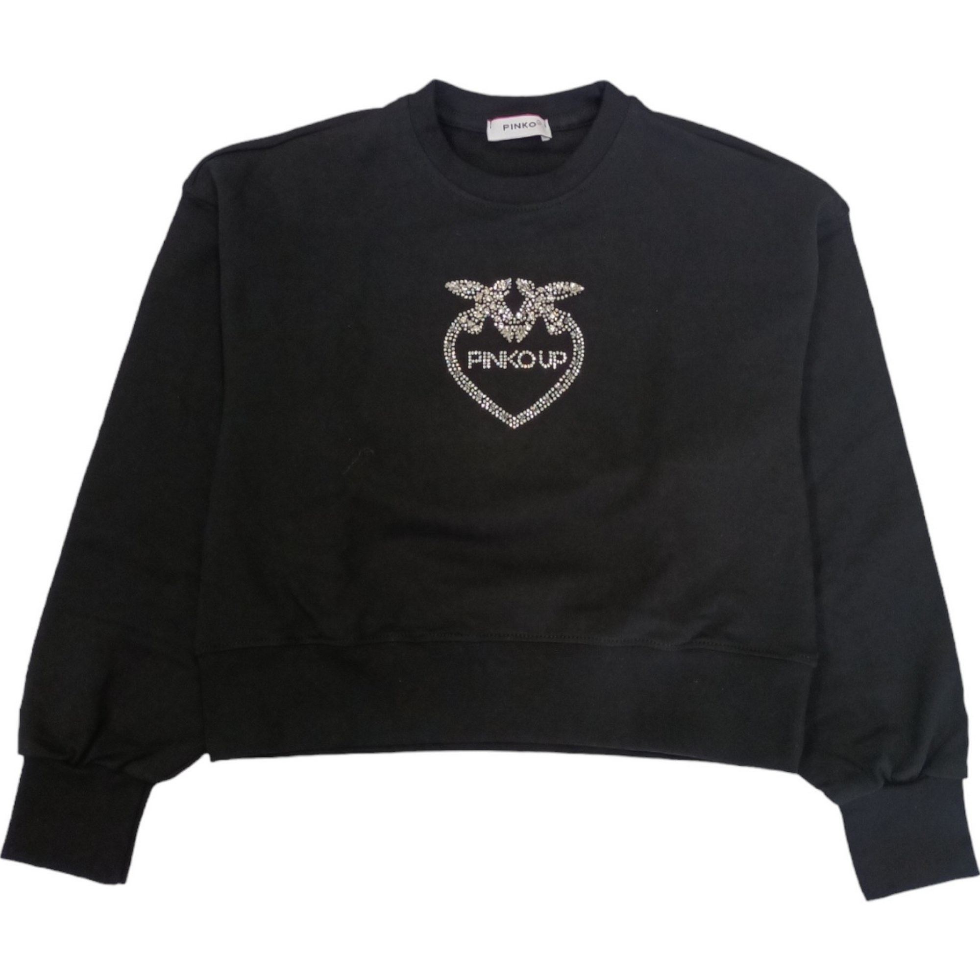 Pinko - Black Sweatshirt Logo Silver S4pijgsw057