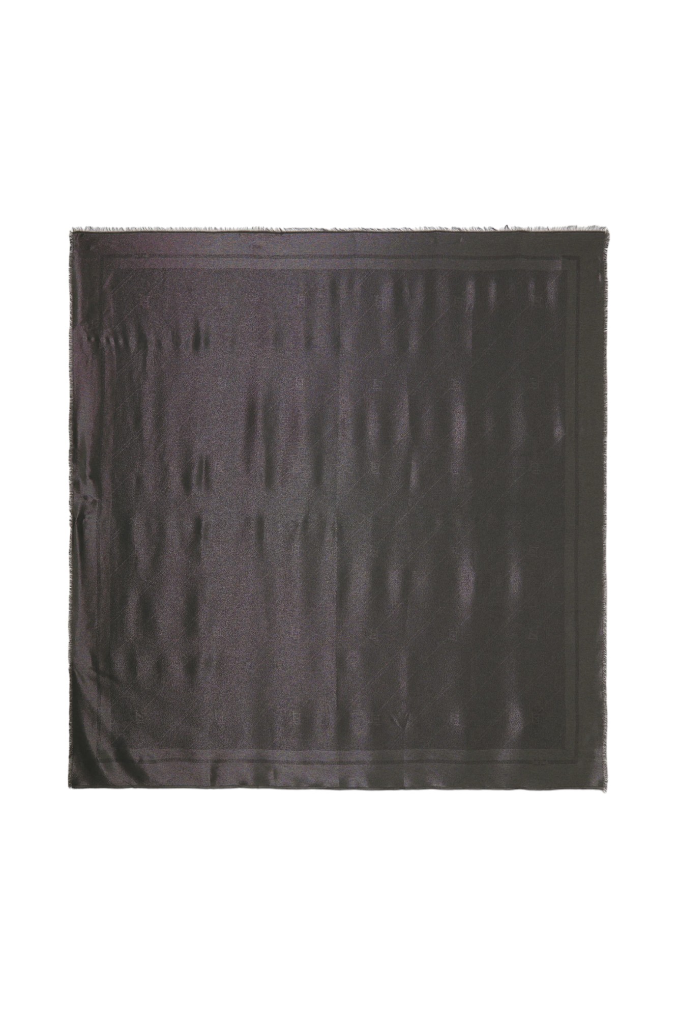 Elisabetta Franchi Women's Scarf  Sc03f46e2 Black In Black