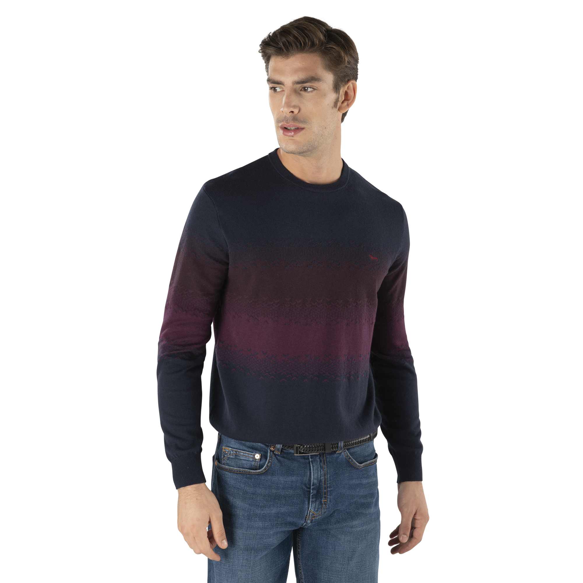 Harmont-blaine Harmont & Blaine Sweaters Blue In Blu Blu E Verdi