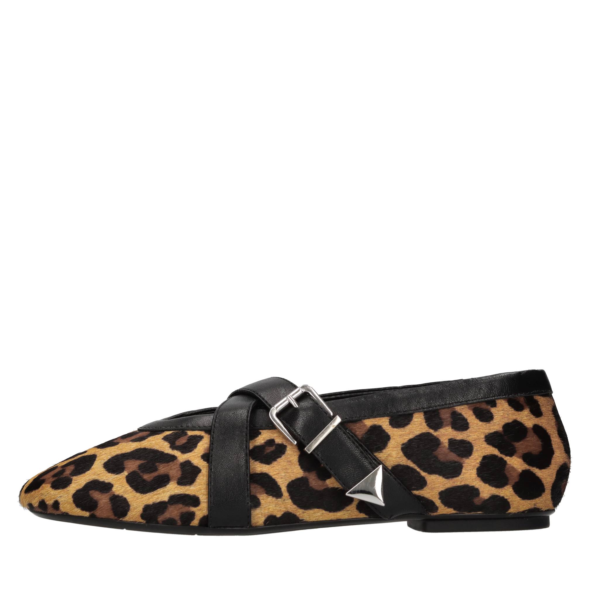 Schutz Lage schoenen Dieren