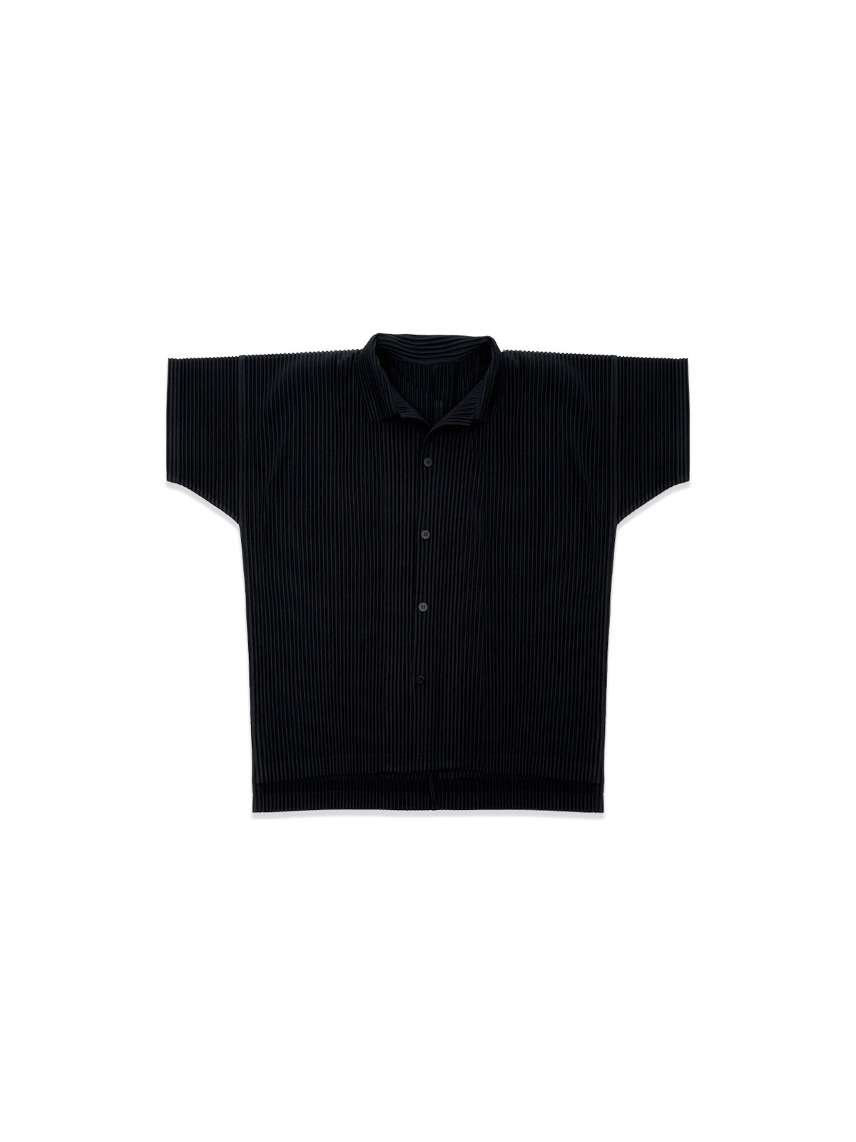 Colores mensuales: polo de agosto