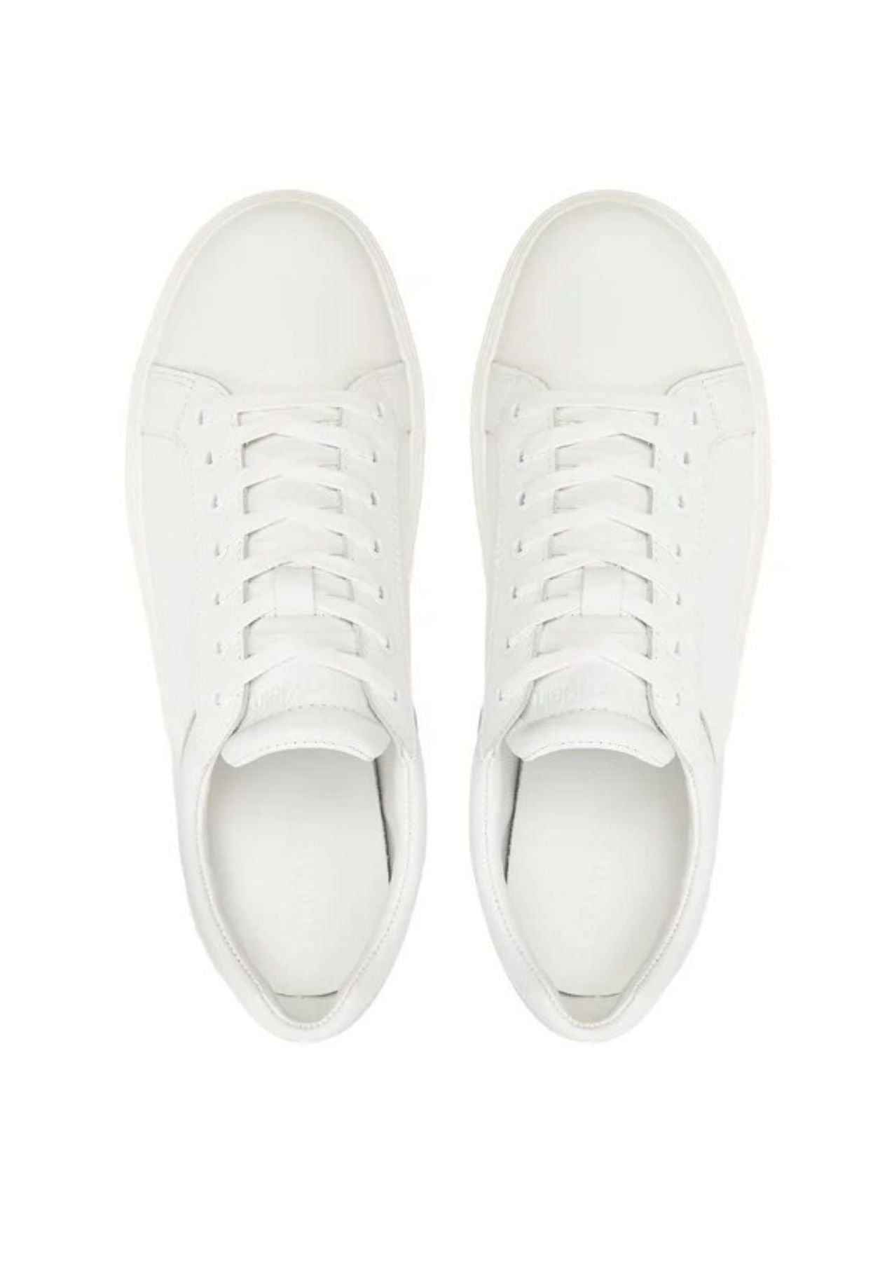 Calvin Klein Sneakers In Bianco
