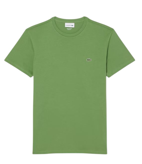 Lacoste T-shirt et Polo Verde